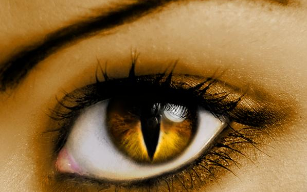 Звериный глаз
