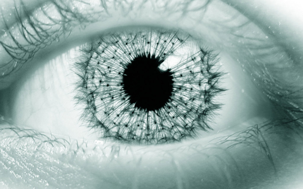 Глаз-одуванчик