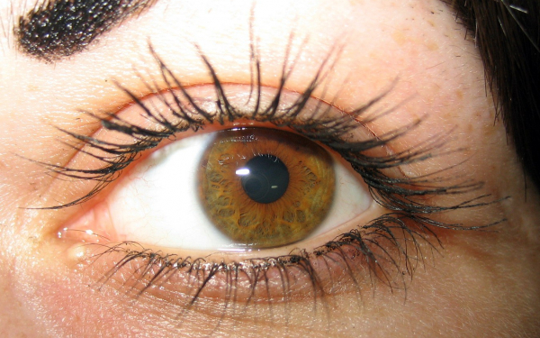 Длинные ресницы