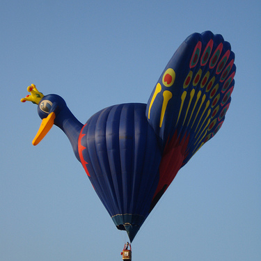 Воздушный шар птица