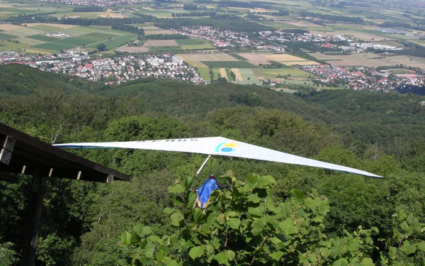 Дельтаплан над лесом