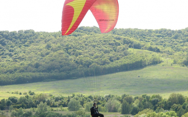 Параплан над лесом