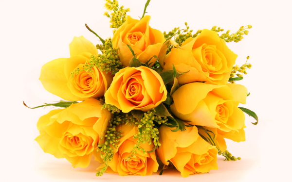 Красивые розы в букете