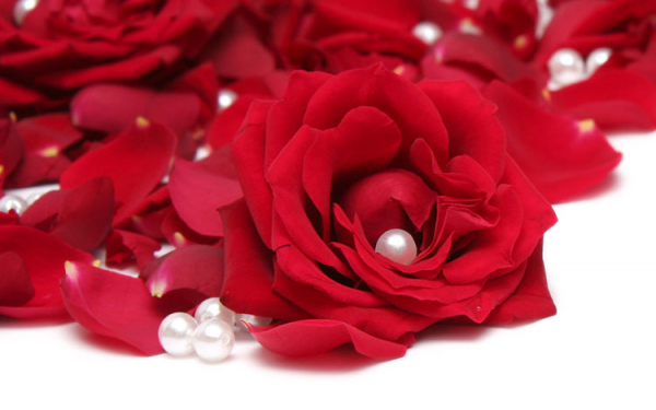Розы и жемчуг