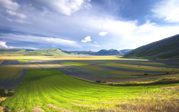 Поле в горной долине