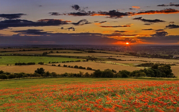 Вечер на полях