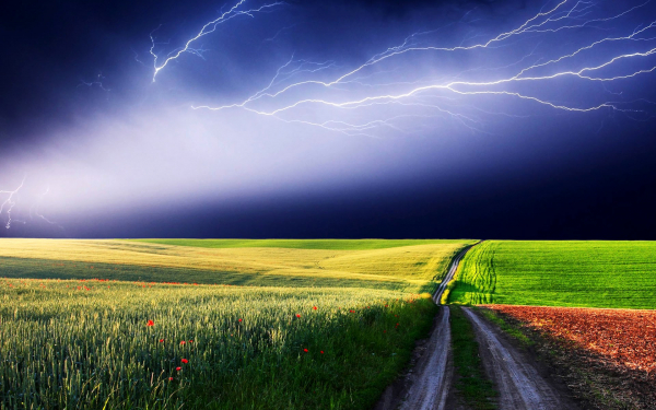 Гроза над полем