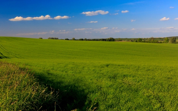 Над зеленым полем облака