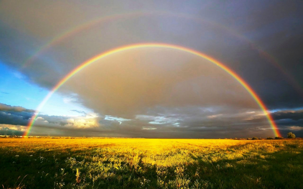 Радуга над полем