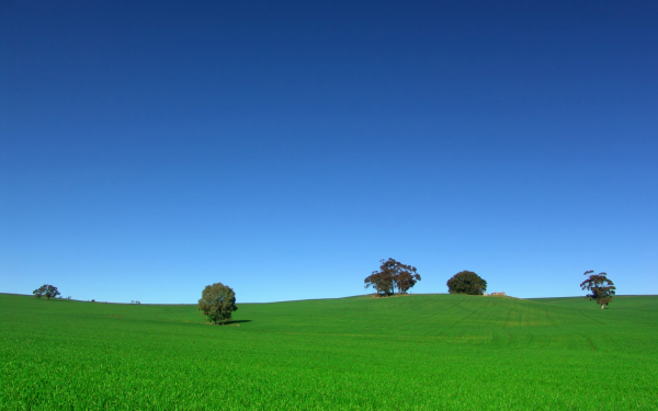 Синее небо над зеленым полем