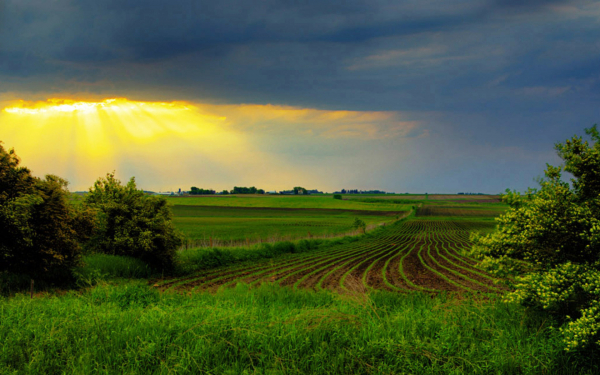 Хмурое небо над весенним полем