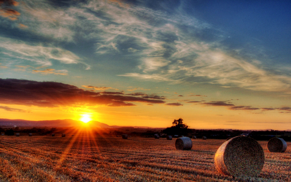 Вечер на убраном поле