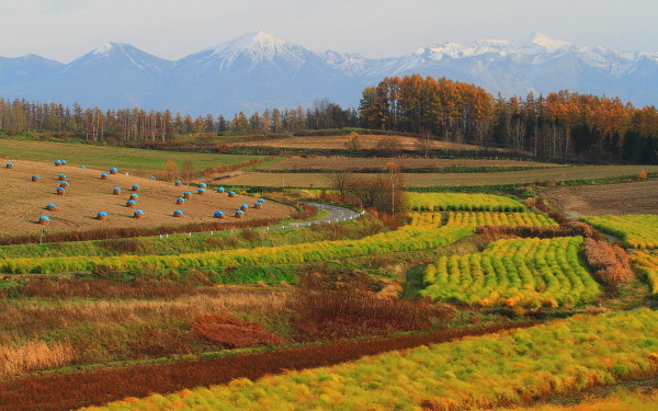 Осенние поля