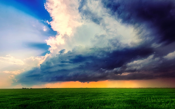Тучи над зеленым полем