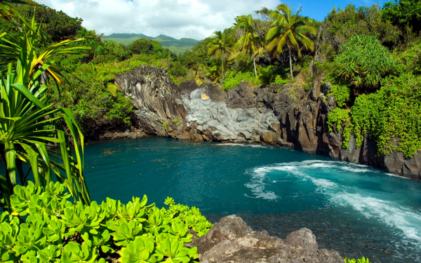 Река в тропиках