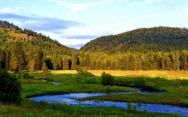 Река тайга горы