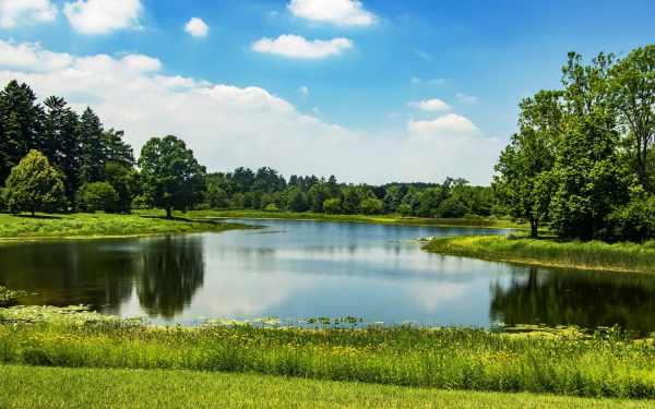 Река зеленые берега лес небо облака