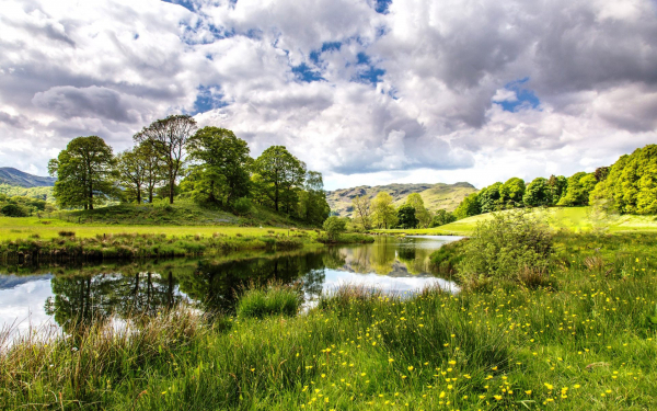 Зеленые поляны на берегах реки