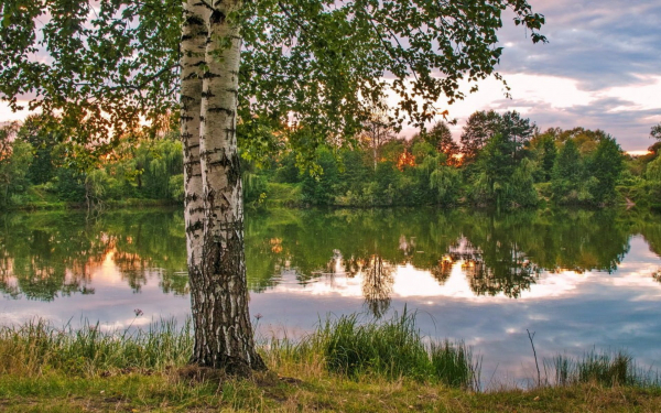 Летний вечер на тихой речке