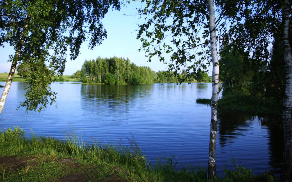 Полноводная река