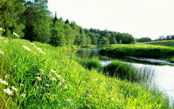 Река среди лугов и полей