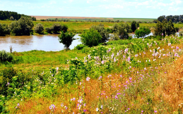 Река среди лугов и полей