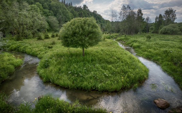 Излучина реки Киржач