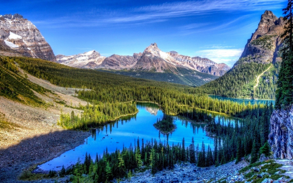 Озера в горной тайге