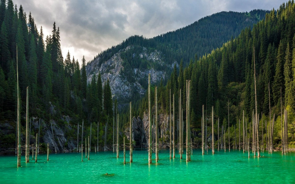 Озеро Каинды в Казахстане