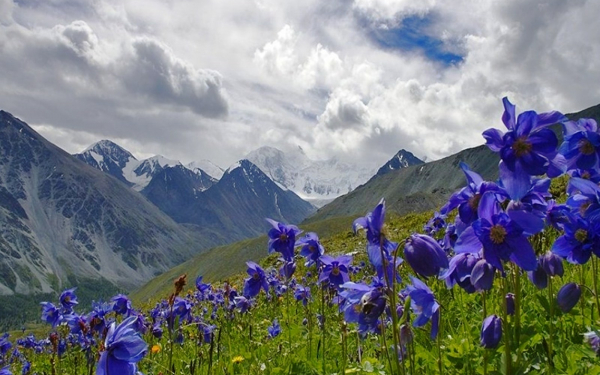 Весна в горах