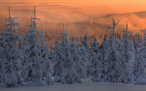 Морозный туман над тайгой