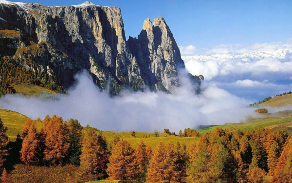 Лес туман горы осень