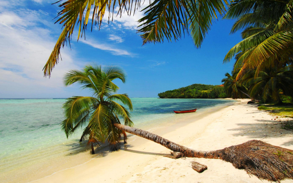 Берег острова Мадагаскар