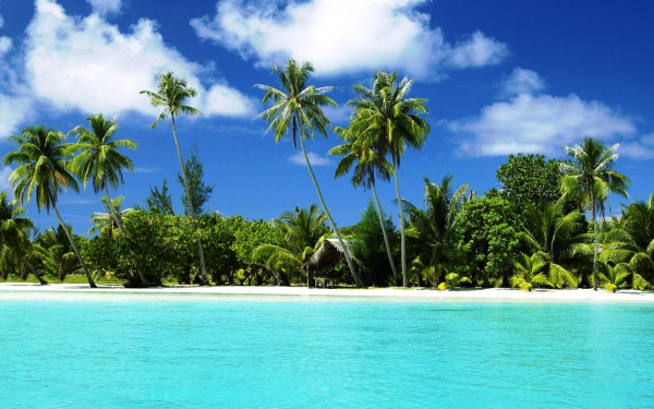 Берег тропического острова