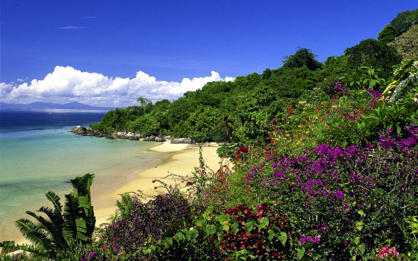 Побережье острова Мадагаскар