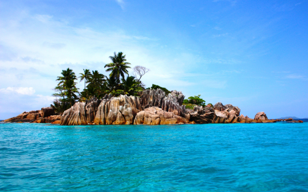 Каменный остров с пальмами