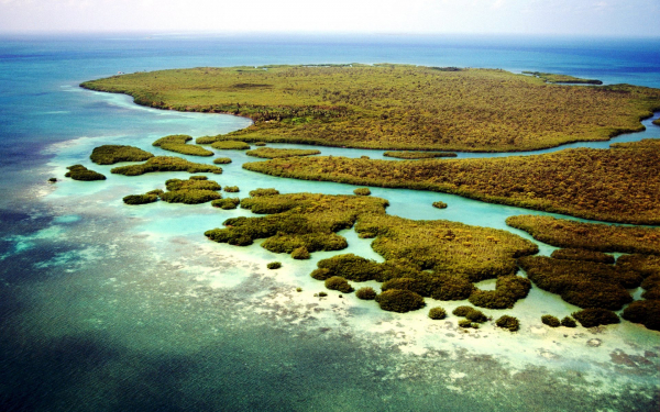 Коралловый риф