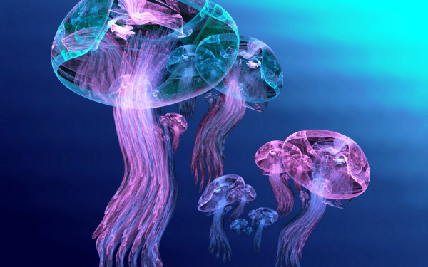 Подводный мир