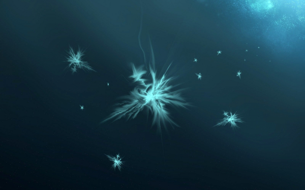 Яркие звезды