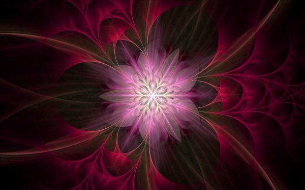 Фрактал цветок картинка