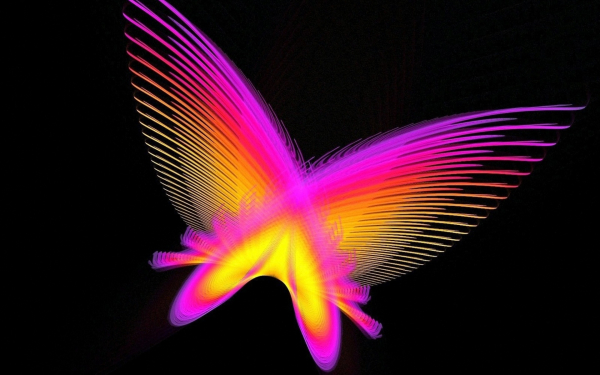 Бабочка ночь абстракция