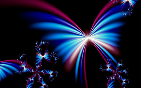 Ночные бабочки абстракция