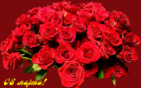 Букет алых роз 8 марта
