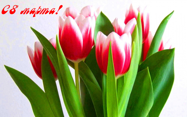 Весенний букетик 8 марта