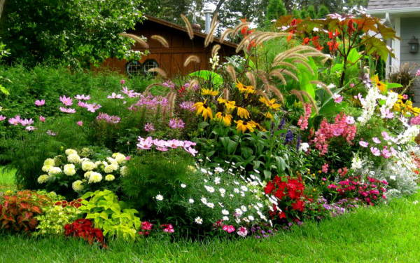 Красивая клумба цветов