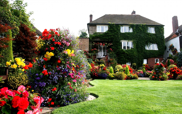 Цветы в английском саду