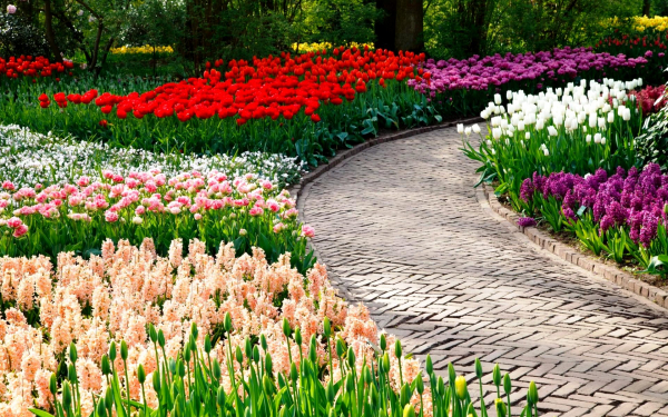 Парк цветов