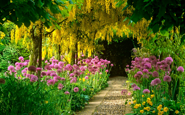 Цветущий сад