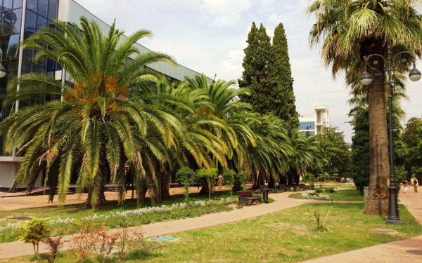 Улица Навагинская в Сочи