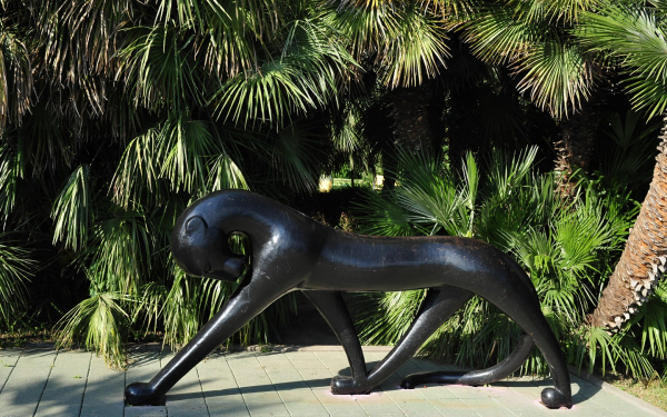 Пантера на улице Сочи